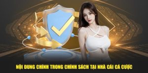 Tổng hợp nghĩa vụ của người chơi với chính sách